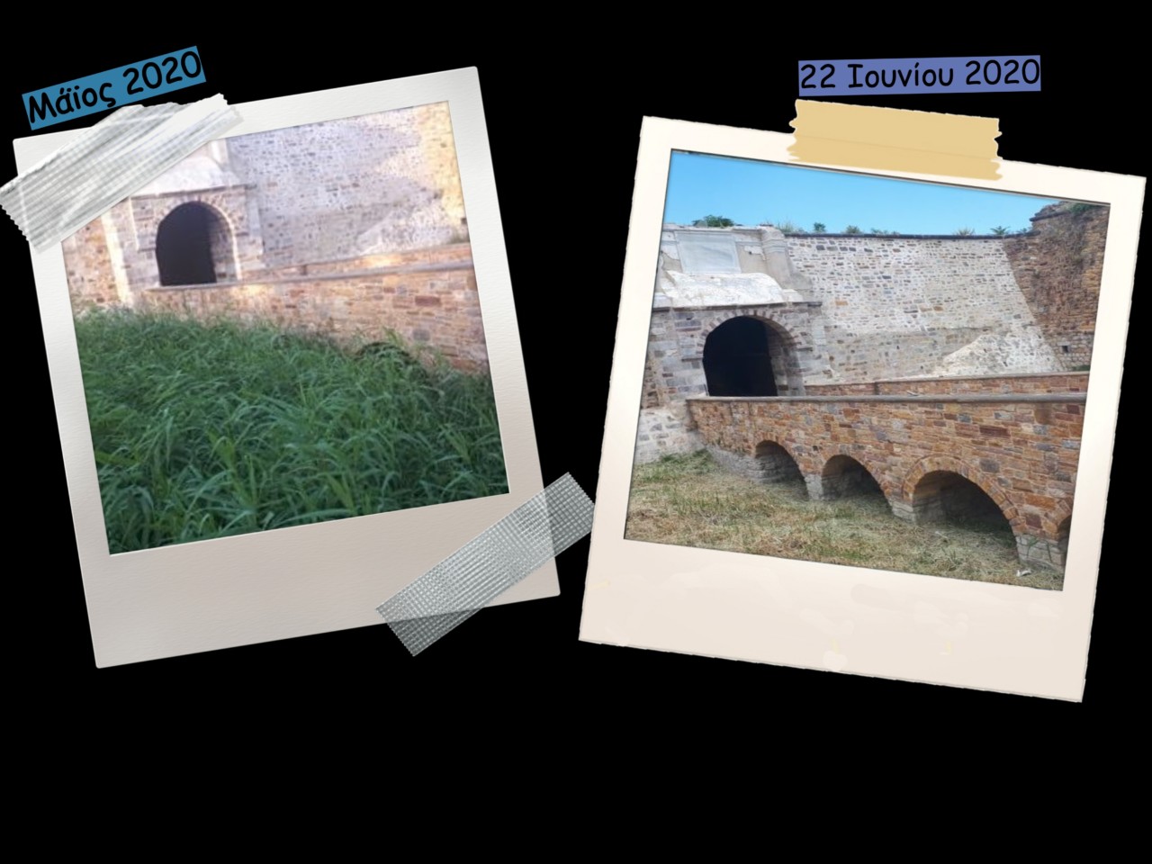 collage (2)