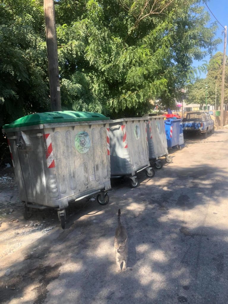 ΦΩΤΟΓΡΑΦΙΑ 4 - ΟΙ ΚΑΔΟΙ ΕΞΩ ΤΟ ΡΗΓΜΑ ΤΟΥ ΕΠΑΝΩ ΠΟΡΤΕΛΟΥ (ΦΑΝΑΡΙΑ ΒΑΞΑΛΗ)